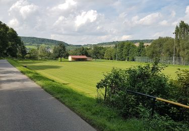 Trail On foot Igersheim - Rundwanderweg Igersheim 54 - Photo