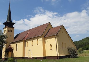 Tour Zu Fuß Zabar - Z+ - Photo