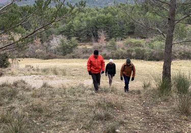 Tocht Stappen Aubres - Aubres col de Chicogne  - Photo