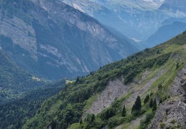 Tour Wandern Verchaix - Col de Joux plane haute Savoie 9 juillet 2022  - Photo