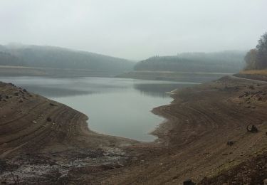 Percorso Marcia Jalhay - Tour  du lac de la Gileppe, à pied sec dans le lac - Photo