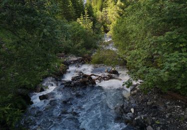 Tour Wandern Ayent - les évouettes  - Photo