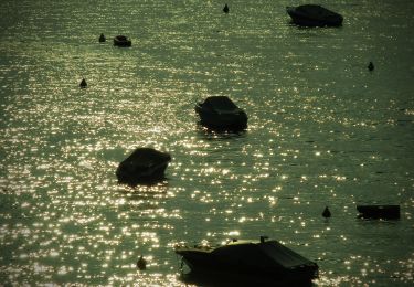 Randonnée A pied Torri del Benaco - Giro del Crero (Torri del Benaco) - Photo