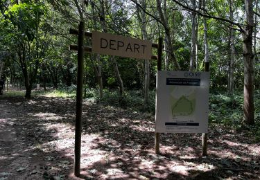 Randonnée Marche Frocourt - Parcours santé de l'arboretum de Frocourt - Photo