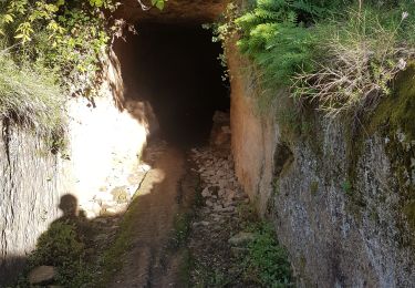 Tour Wandern Sernhac - Serhnac tunnels crêtes  - Photo