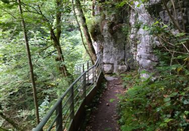 Trail Walking Saint-Christophe - 38 st Christophe sur guiers grottes guiers vif - Photo
