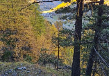Trail Walking Arvieux - arvieux en boucle par furfande ( col et chalets) - Photo