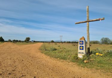 Randonnée Marche Villares de Órbigo - Santibañez Astorga Murias - Photo