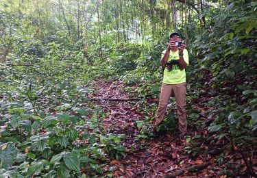 Excursión Senderismo Le Lorrain - Rando d'ouverture Morne Capot via Gens - Photo