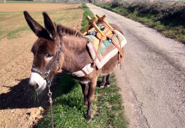 Trail Donkey back riding Livron-sur-Drôme - Abiche toundra - Photo