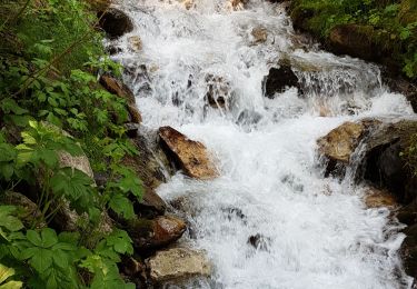 Tour Wandern Villarodin-Bourget - 0rgère - Photo