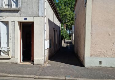 Tour Wandern Amboise - Amboise - À la découverte des trésors cachés - Photo