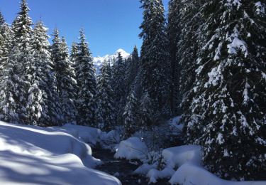 Trail Snowshoes Sixt-Fer-à-Cheval - Refuge de Gers - Photo