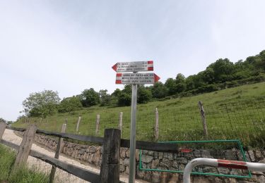 Tour Zu Fuß Capizzone - Sentiero del Partigiano Angelo Gotti - Photo