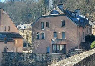 Tour Wandern Luxemburg - Luxembourg ascenseur  - Photo