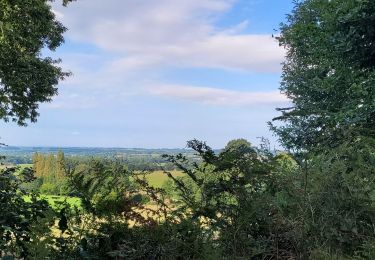 Tour Wandern Le Loroux - rrr - Photo