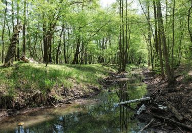 Tocht Te voet Blankenfelde-Mahlow - Naturlehrpfad - Photo