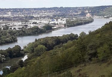 Tour Wandern Saint-Aubin-Celloville - Saint-Aubin-Celloville vers Saint-Adrien et retour - Photo