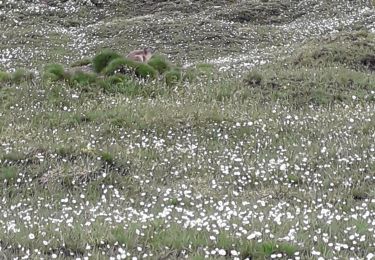 Percorso Marcia Molines-en-Queyras - col agnel - Photo