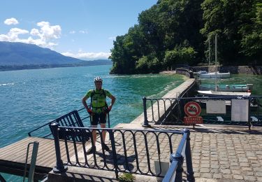 Tocht Mountainbike Bourdeau - sortie lac du bourget - Photo