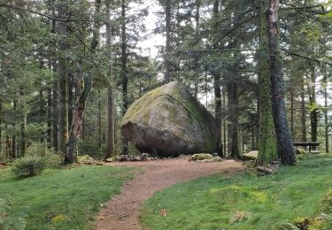 Tocht Stappen Le Tholy - Le trou de l'enfer - Photo