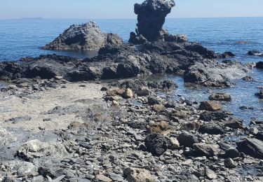 Excursión Senderismo La Seyne-sur-Mer - Notre Dame du Mai - Photo