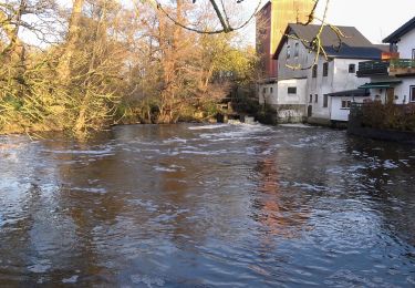 Randonnée A pied Oeversee - Libellenweg - Photo