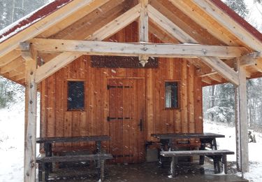 Percorso Marcia Bourbach-le-Haut - cabane BAUMANN - Photo