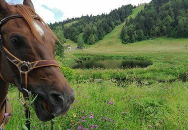 Trail Horseback riding Ventron - frère Joseph  - Photo