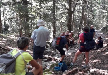 Trail Nordic walking Engins - le Sornin et Plinouze - Photo