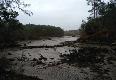 Tocht Stappen Pont-Aven - PONT-AVEN - Photo