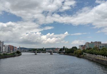 Tocht Stappen Luik - Bouverie - Angleur - Fragnée - Photo