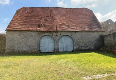 Randonnée Marche Anhée - Montagne de Sossoye - Photo