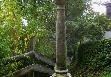 Tocht Te voet Haibach im Mühlkreis - Wanderweg 82 - Photo