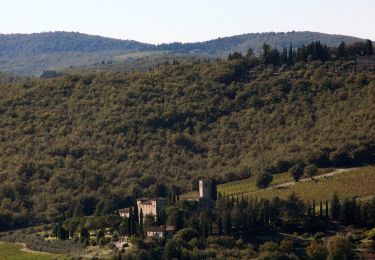 Randonnée A pied Gaiole in Chianti - Trekking tra i castelli 4 - Photo