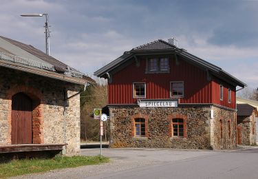 Randonnée A pied Grafenau - Echtes Springkraut - Photo