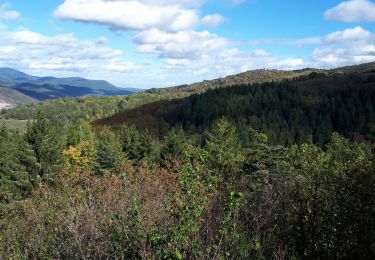 Tour Wandern Schirmeck - Schirmeck - Photo