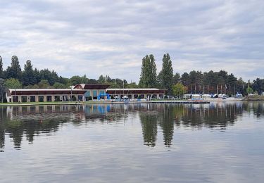 Tour Wandern Bellerive-sur-Allier - Tour du lac d'Allier - Photo