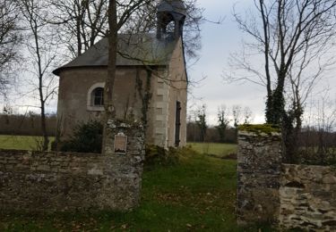 Excursión Senderismo Rochefort-sur-Loire - Rochefort par la vallée  - Photo