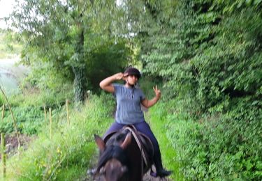 Trail Horseback riding Grâce-Hollogne - aurelie  - Photo