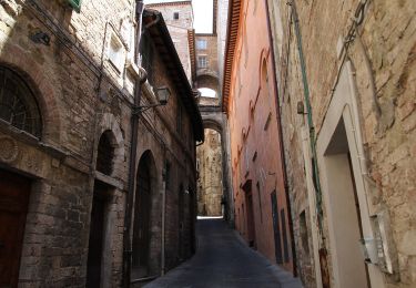 Randonnée A pied Valfabbrica - Via di Francesco - Tappa 10A variante Perugia - Valfabbrica-Perugia - Photo