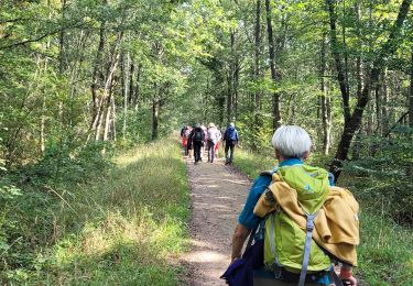 Tour Wandern Montgeron - Parcouurs Sénart journée verte et bleue - Photo