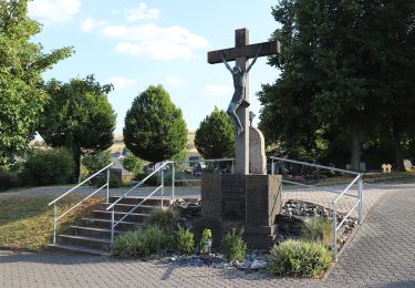 Percorso A piedi Pluwig - Walburga-Wanderweg - Photo