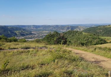 Tocht Noords wandelen Tournon-sur-Rhône - Boyon - Photo