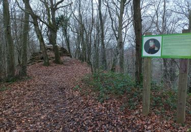 Trail Walking Rochefort - Lesse resteigne pupitre ermitage  - Photo