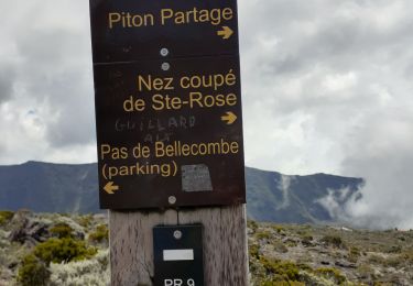Trail Walking Sainte-Rose - bellecombe dolomieu - Photo