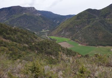 Tour Wandern Furmeyer - Sentier botanique - Photo