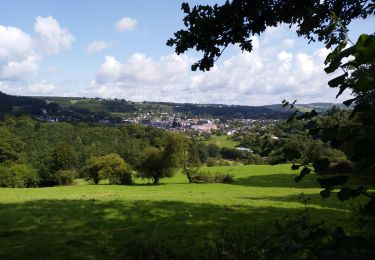 Randonnée Marche Stavelot - stavelot - Photo