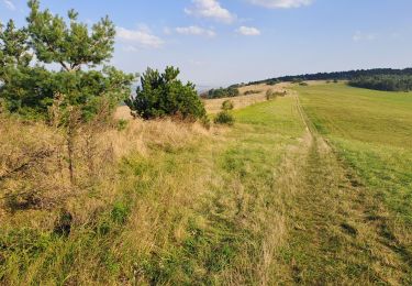 Tour Wandern Bouxières-sous-Froidmont - Arry - Photo