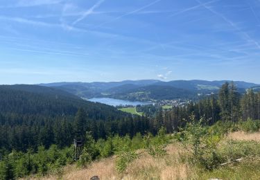 Randonnée Vélo électrique Titisee-Neustadt - Bärental, Altglashütte, Falkau, Saig, Neustadt Titisee - Photo